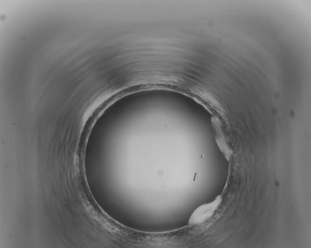 X0000073710928200608101835