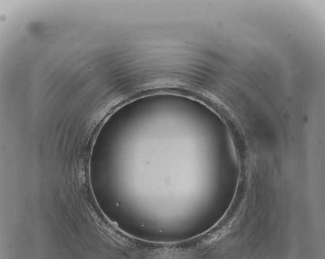 X0000073710929200608101835