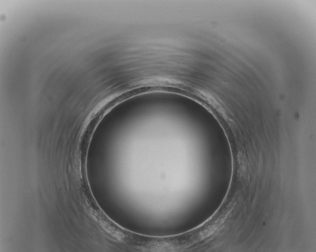 X0000073710931200608101835