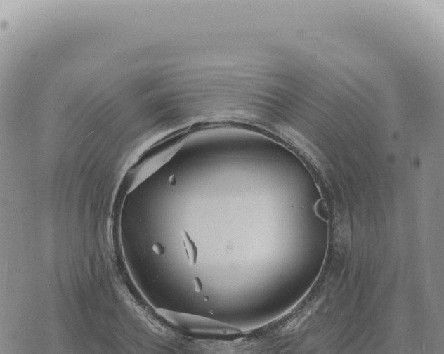 X0000073710932200608101835