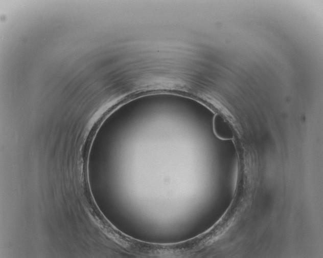 X0000073710933200608101835