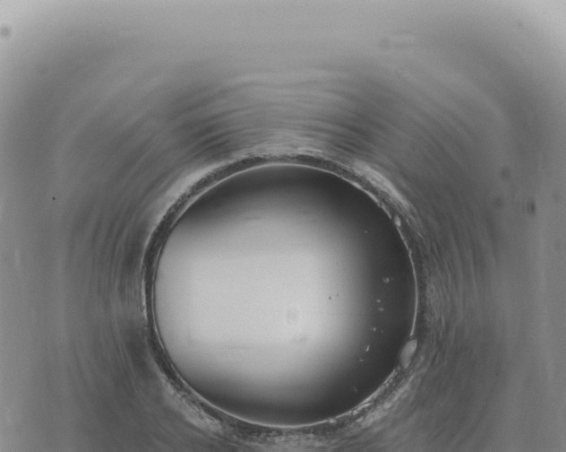 X0000073710934200608101835