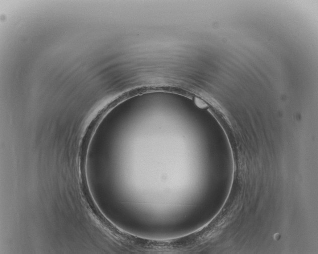 X0000073710935200608101835