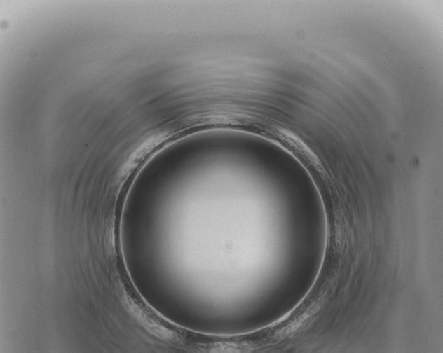 X0000073710938200608101835