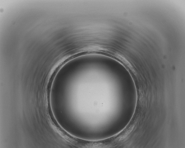 X0000073710939200608101835