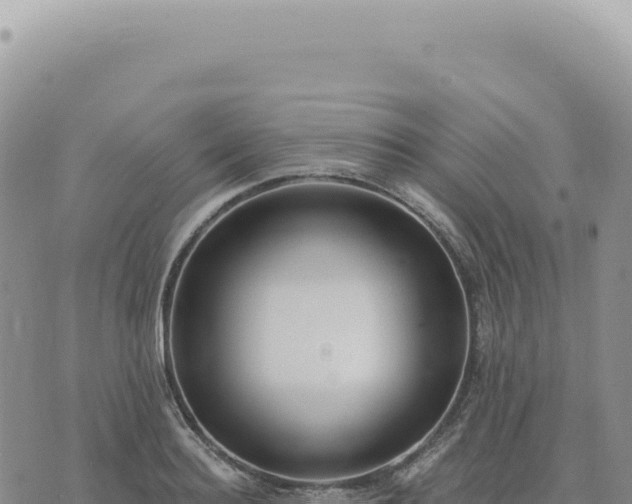 X0000073710940200608101835