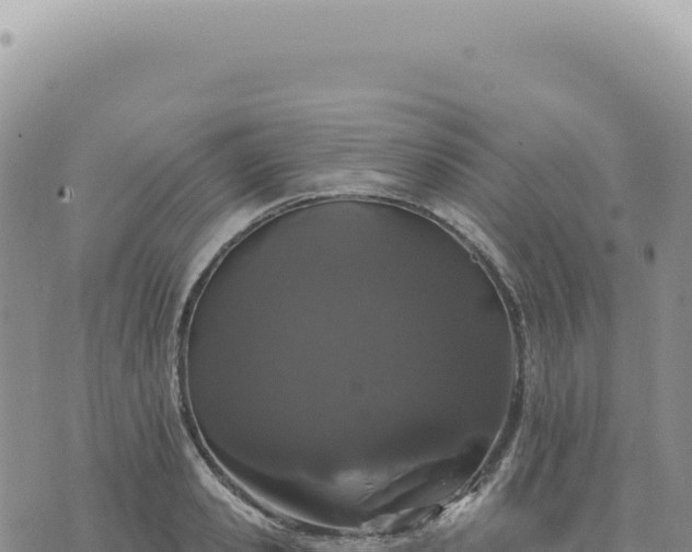 X0000073710941200608101835