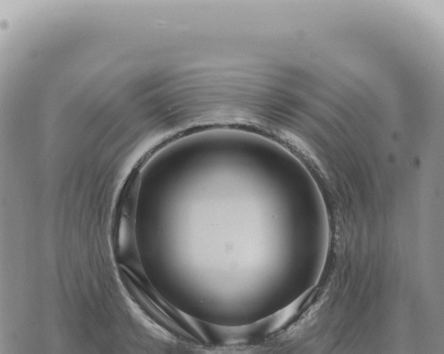 X0000073710942200608101835