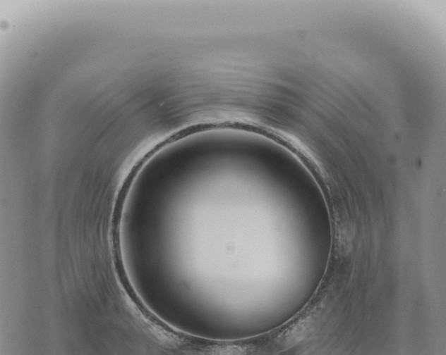 X0000073710943200608101835