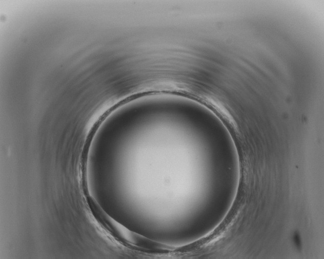 X0000073710944200608101835