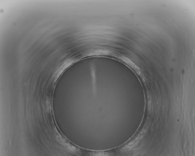 X0000073710945200608101835