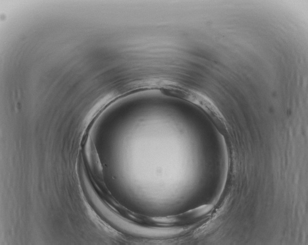 X0000073710946200608101835