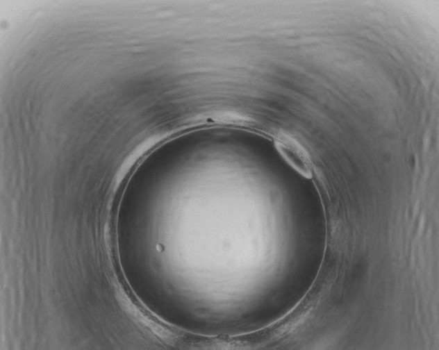 X0000073710947200608101835