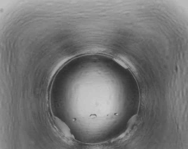 X0000073710948200608101835