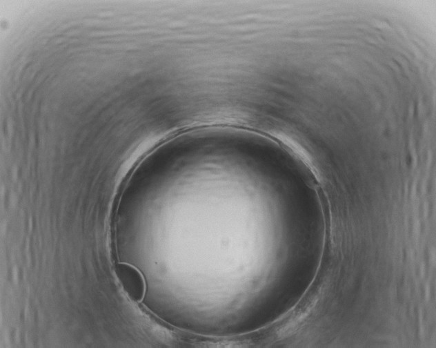 X0000073710949200608101835