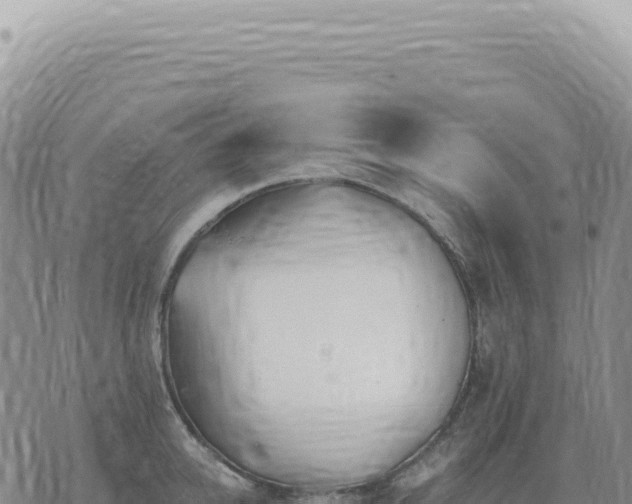 X0000073710950200608101835