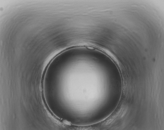 X0000073710951200608101835