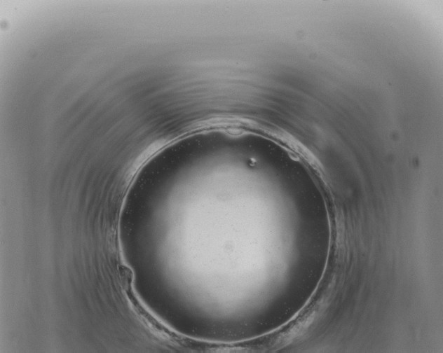 X0000073710953200608101835