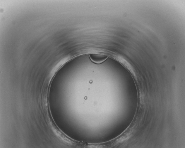 X0000073710954200608101835