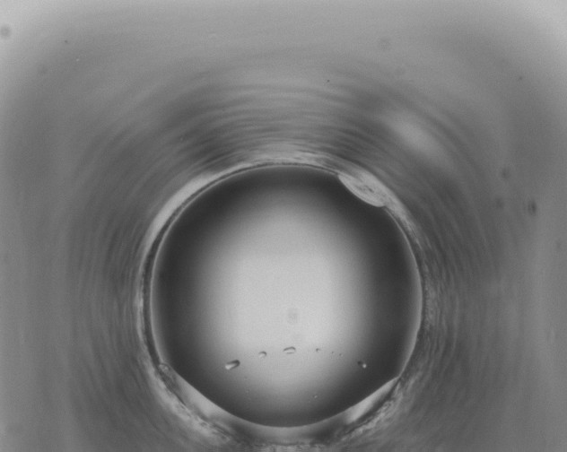 X0000073710955200608101835