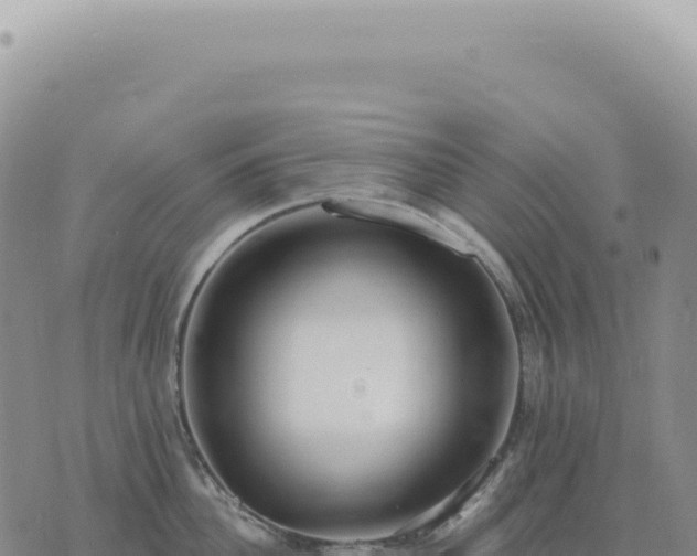 X0000073710956200608101835