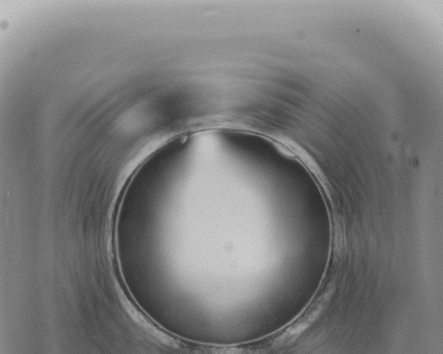 X0000073710957200608101835