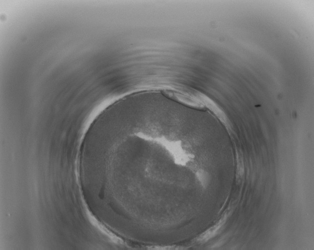 X0000073710958200608101836