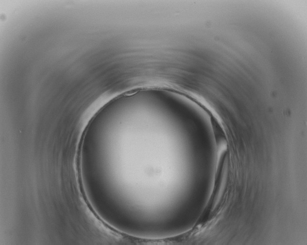 X0000073710959200608101836