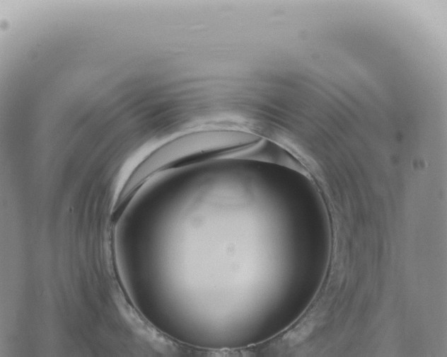 X0000073710960200608101836