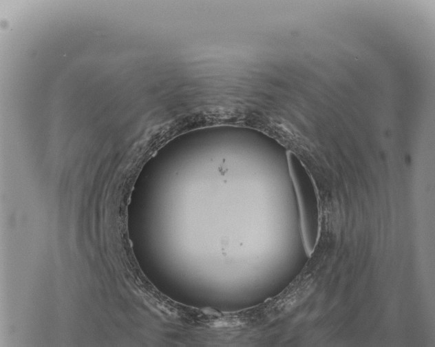 X0000073710961200608101835