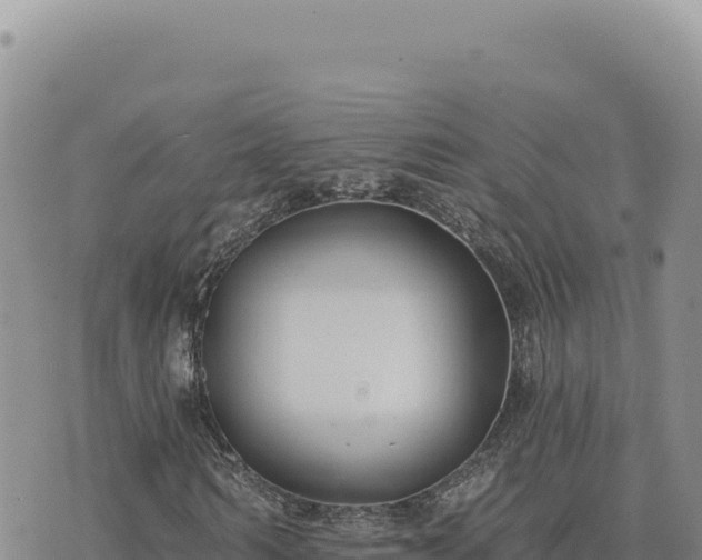 X0000073710962200608101835