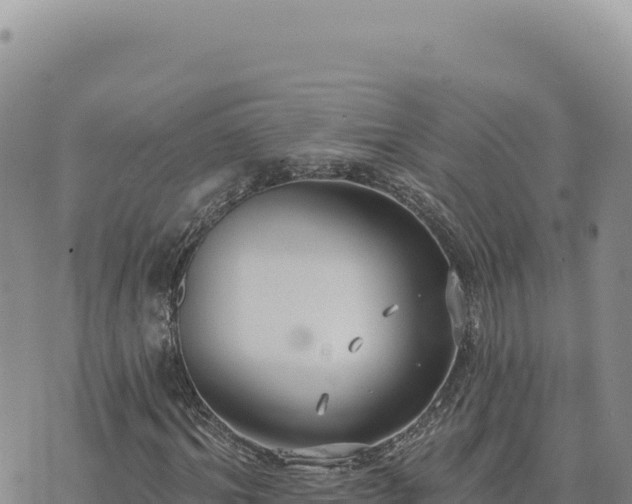 X0000073710964200608101835