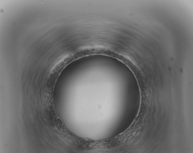 X0000073710967200608101835