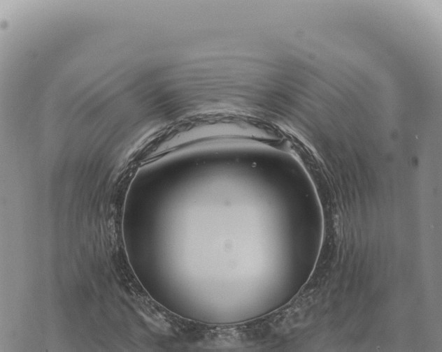 X0000073710968200608101835