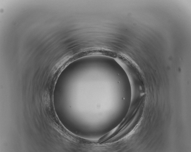 X0000073710969200608101835