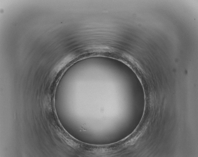 X0000073710970200608101835