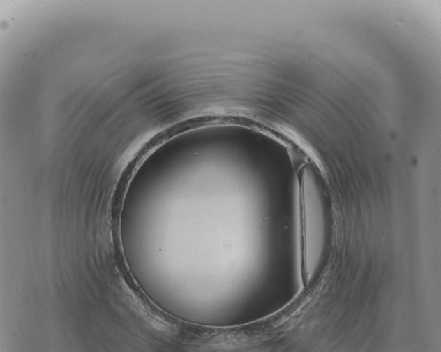 X0000073710972200608101835