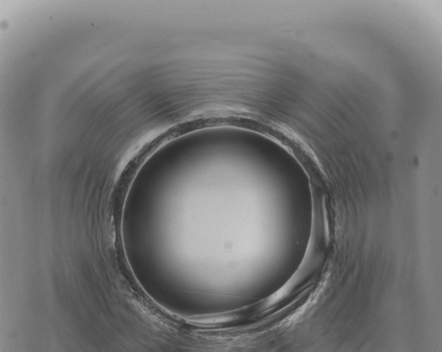 X0000073710973200608101835