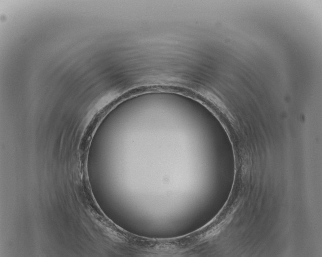 X0000073710974200608101835