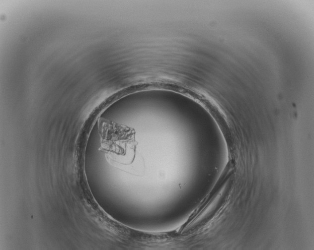 X0000073710975200608101835