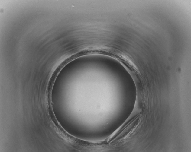 X0000073710976200608101835