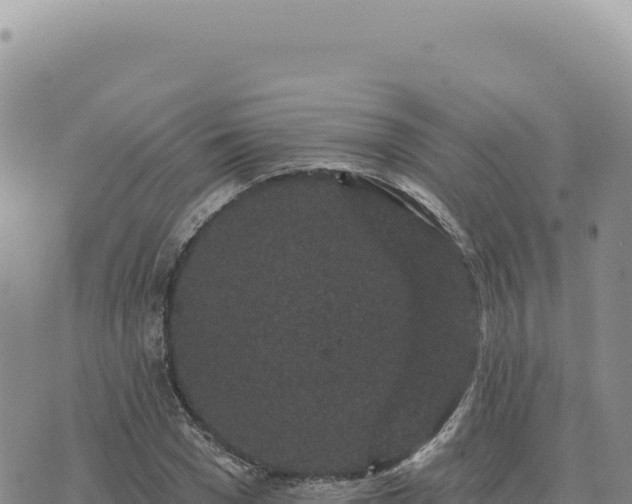 X0000073710977200608101835