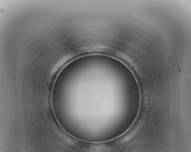 X0000073710978200608101834