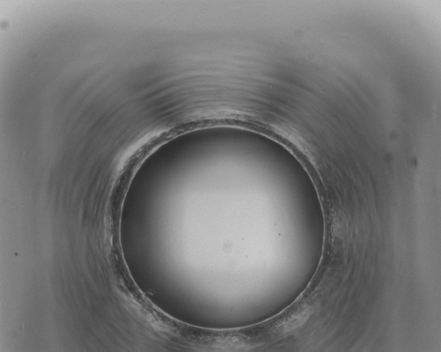 X0000073710979200608101834