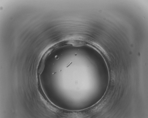 X0000073710980200608101834