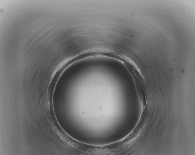 X0000073710981200608101834