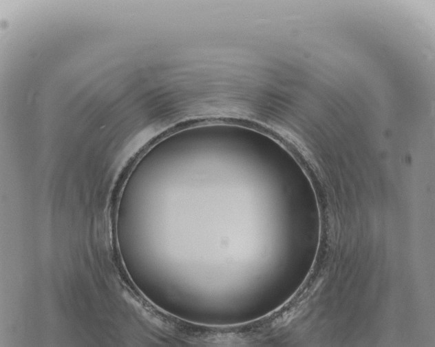 X0000073710982200608101834