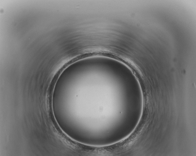 X0000073710983200608101834