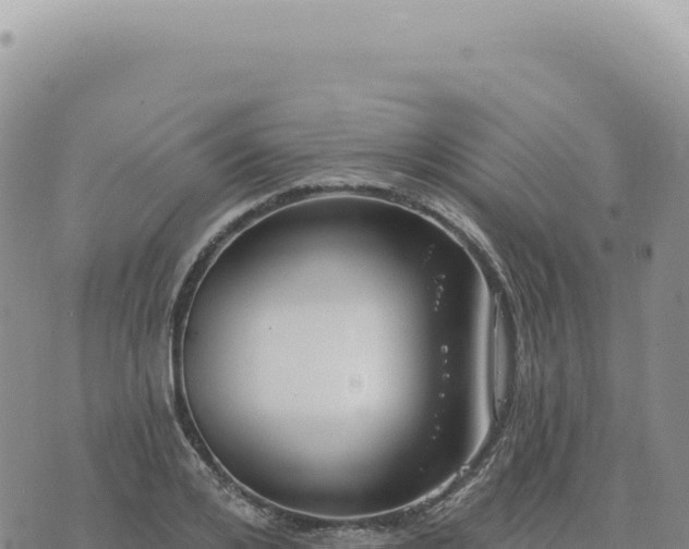 X0000073710984200608101834