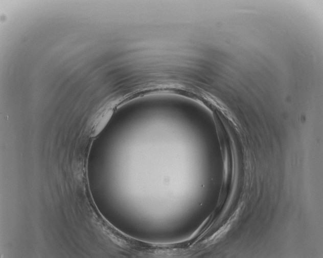 X0000073710985200608101834